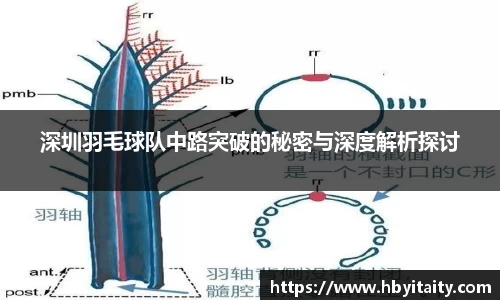 威廉希尔官方网站